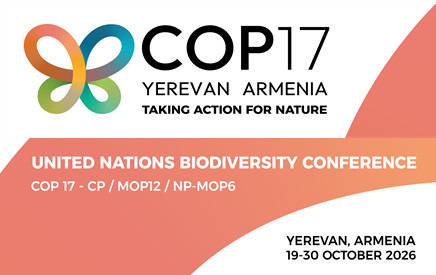 Featured image for “COP 17 – DICHIARAZIONE DI YEREVAN-  Agire per la natura”